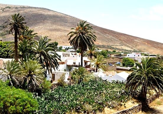 Explore beautiful Fuerteventura on 4x4 Explore beautiful Fuerteventura on 4x4