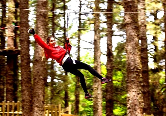 Zipline adventure at Forestal Park Tenerife Zipline adventure at Forestal Park in Tenerife