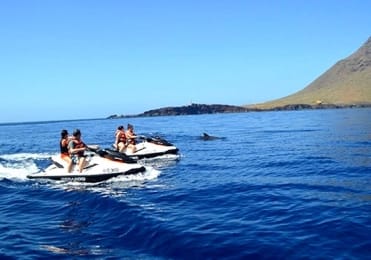 Spot dolphins on jetski Tenerife Spot dolphins on jetski Tenerife