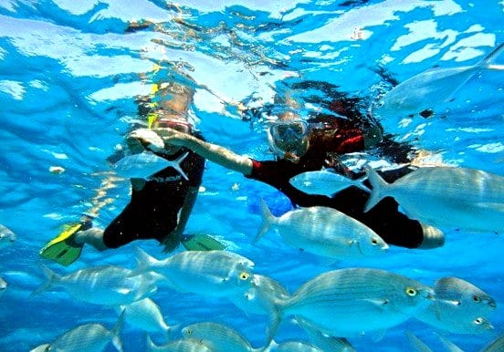 Isla Lobos snorkeling mini cruise Isla Lobos snorkeling mini cruise