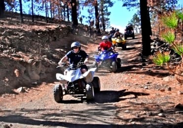 Explore Tenerife forest on quad Explore Tenerife forest on quad