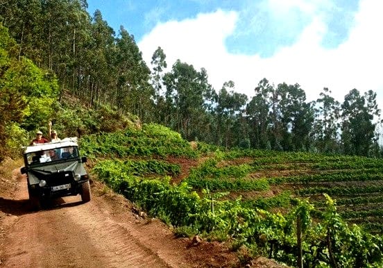 Jeep safari tour in West Madeira Jeep safari tour in West Madeira