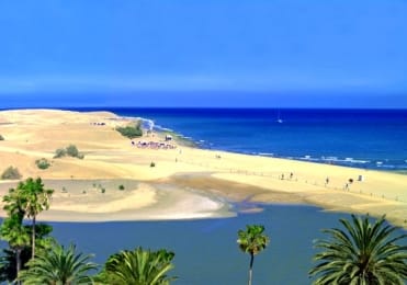 charca maspalomas oasis charca maspalomas oasis in Gran Canaria
