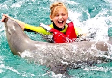 have fun with sea lions Fuerteventura have fun with sea lions Fuerteventura