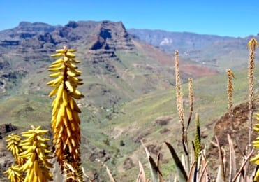 mirador yegua in Gran Canaria mirador yegua in Gran Canaria
