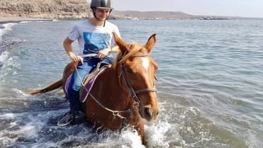 Lanzarote beach horse riding tour Lanzarote beach horse riding tour