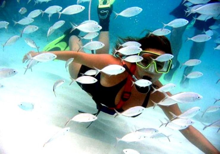 Super Snorkel en Lanzarote iHoppers